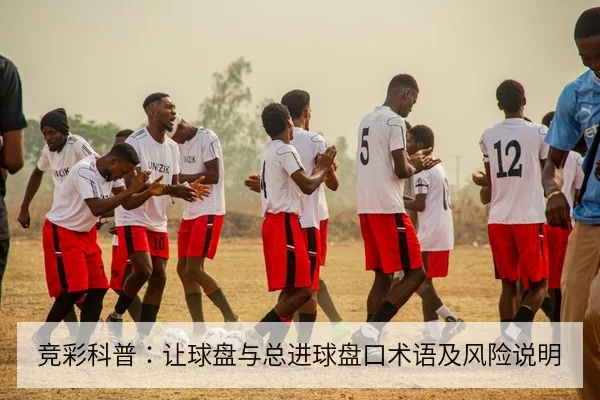 竞彩科普：让球盘与总进球盘口术语及风险说明